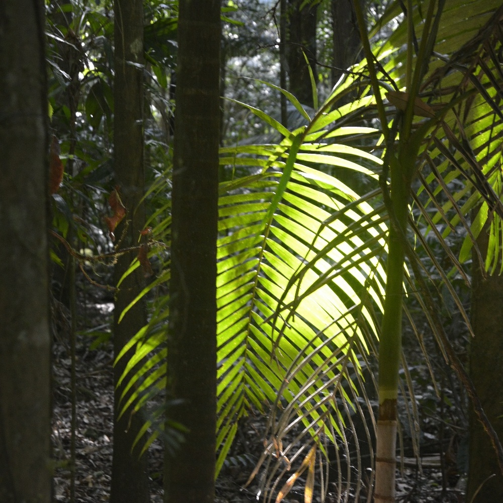 Meet your Posher, Nina